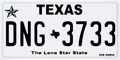 TX license plate DNG3733