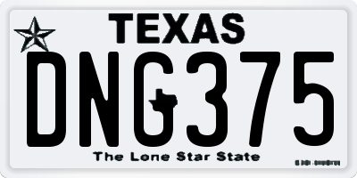 TX license plate DNG375