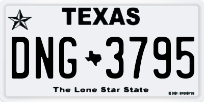 TX license plate DNG3795