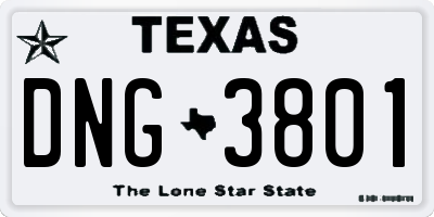 TX license plate DNG3801