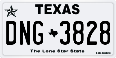 TX license plate DNG3828