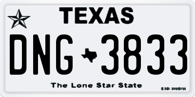 TX license plate DNG3833