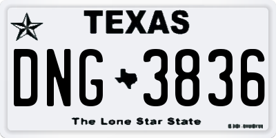 TX license plate DNG3836