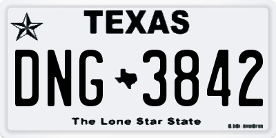 TX license plate DNG3842