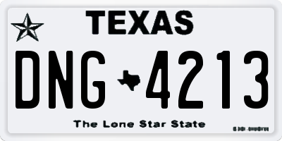 TX license plate DNG4213