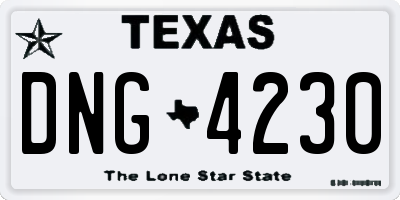 TX license plate DNG4230