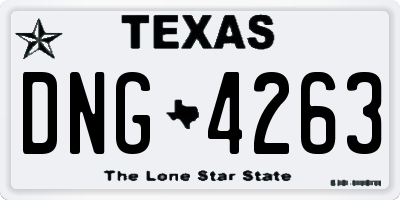 TX license plate DNG4263