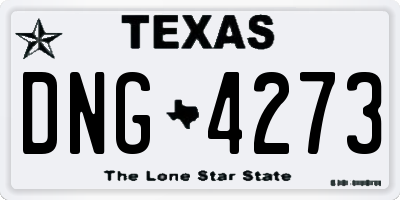 TX license plate DNG4273