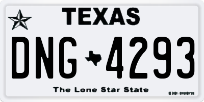 TX license plate DNG4293