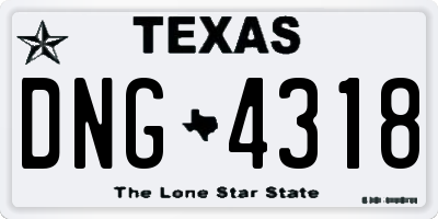 TX license plate DNG4318