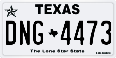 TX license plate DNG4473
