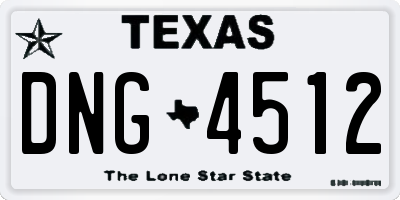 TX license plate DNG4512