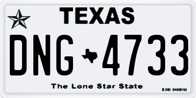 TX license plate DNG4733