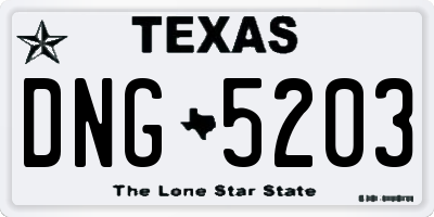 TX license plate DNG5203