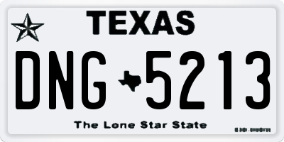 TX license plate DNG5213