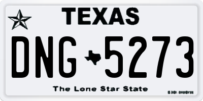 TX license plate DNG5273