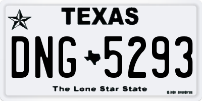 TX license plate DNG5293