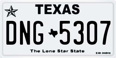 TX license plate DNG5307