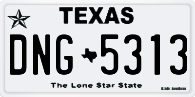 TX license plate DNG5313