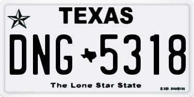 TX license plate DNG5318