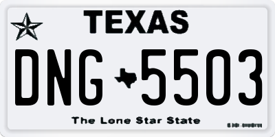 TX license plate DNG5503