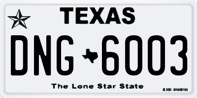 TX license plate DNG6003
