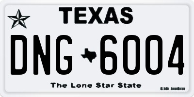 TX license plate DNG6004