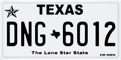 TX license plate DNG6012