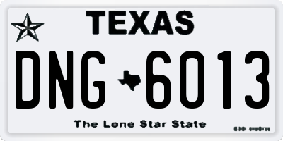 TX license plate DNG6013