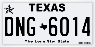 TX license plate DNG6014