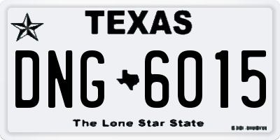 TX license plate DNG6015
