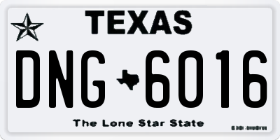 TX license plate DNG6016