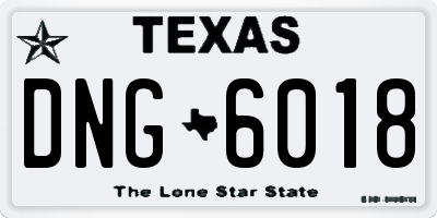 TX license plate DNG6018