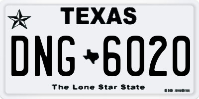 TX license plate DNG6020