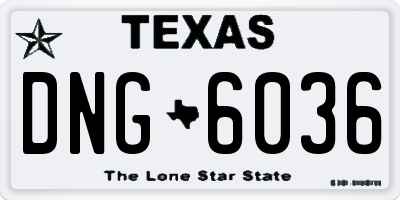 TX license plate DNG6036