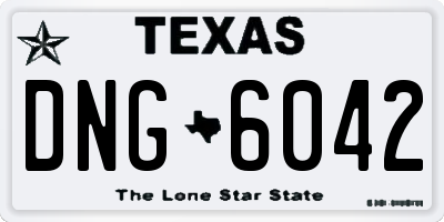 TX license plate DNG6042