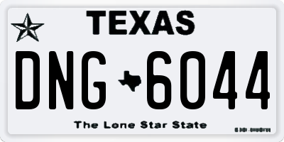 TX license plate DNG6044