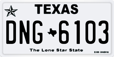 TX license plate DNG6103