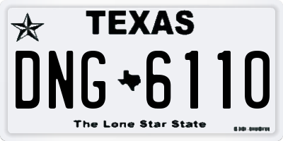 TX license plate DNG6110