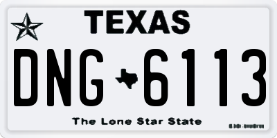 TX license plate DNG6113