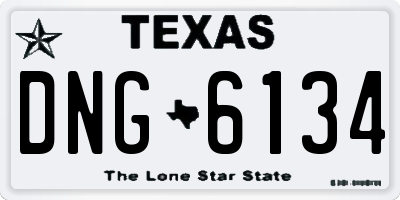 TX license plate DNG6134