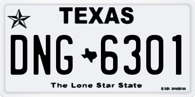TX license plate DNG6301