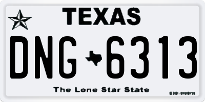 TX license plate DNG6313