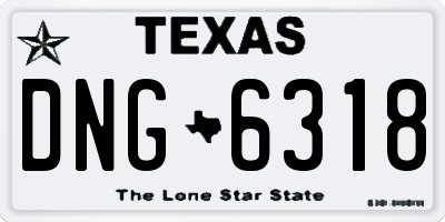 TX license plate DNG6318