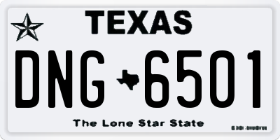 TX license plate DNG6501