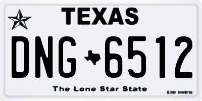 TX license plate DNG6512