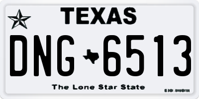 TX license plate DNG6513