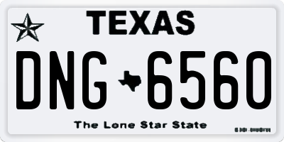 TX license plate DNG6560