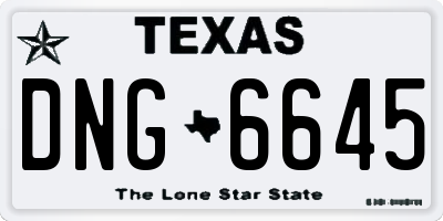 TX license plate DNG6645
