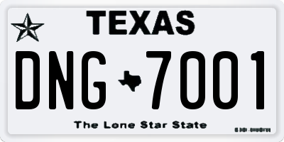 TX license plate DNG7001
